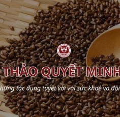 Thảo Quyết Minh có tác dụng gì? Tác dụng tuyệt vời với đôi mắt